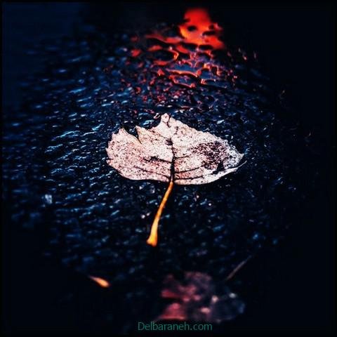  پروفایل عکس باران