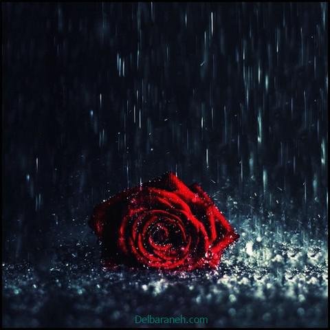  پروفایل عکس باران