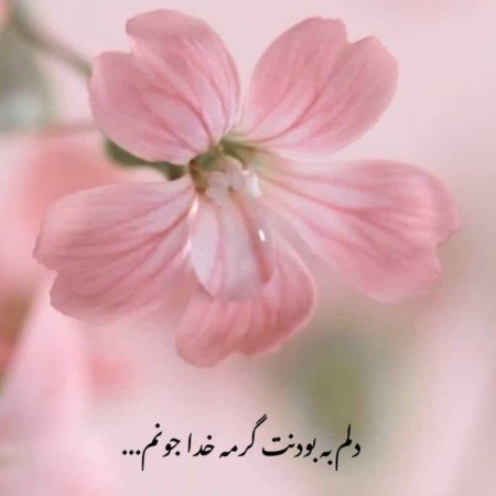  پروفایل خدا هست