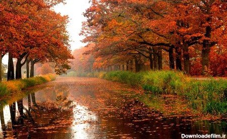 پروفایل باران پاییزی