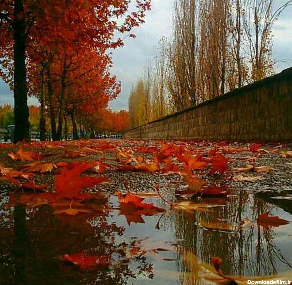  پروفایل باران پاییزی