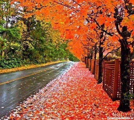  پروفایل باران پاییزی