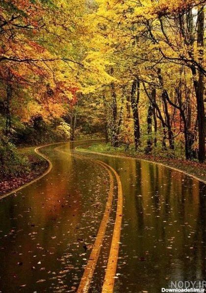  پروفایل باران پاییزی