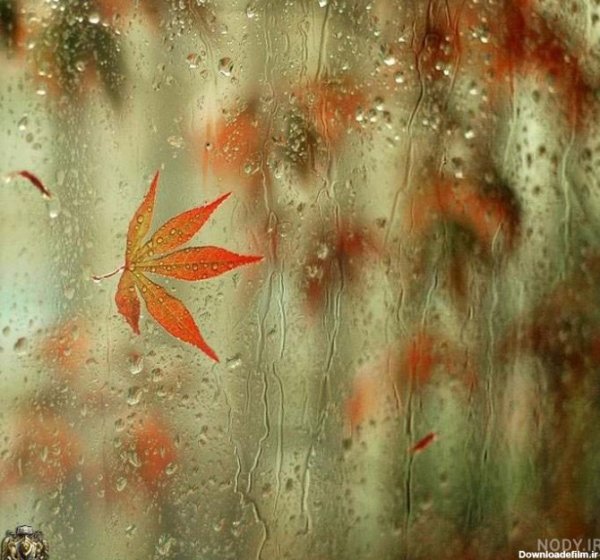  پروفایل باران پاییزی