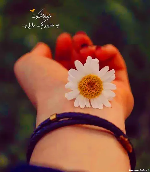  پروفایل خدا با گل