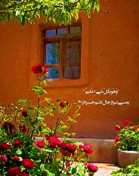  پروفایل خدا با گل