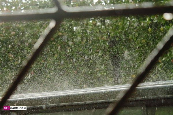  عکس باران برای تصویر زمینه