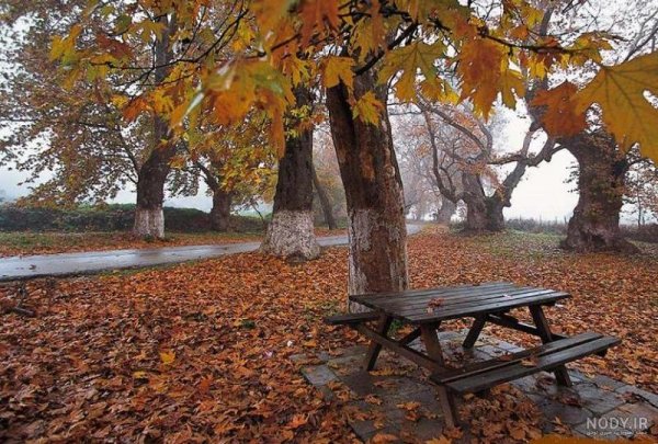  عکس باران پاییز