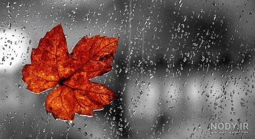  عکس باران پاییز