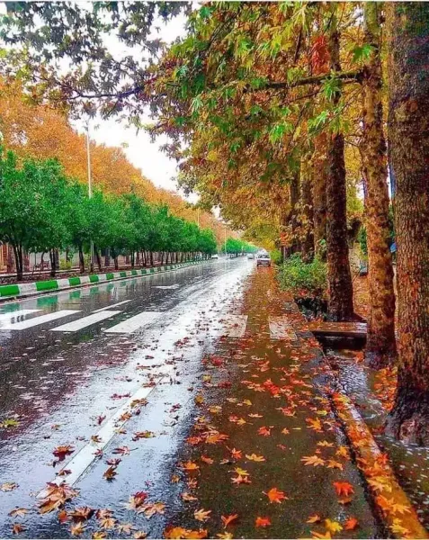 عکس باران پاییزی برای پروفایل