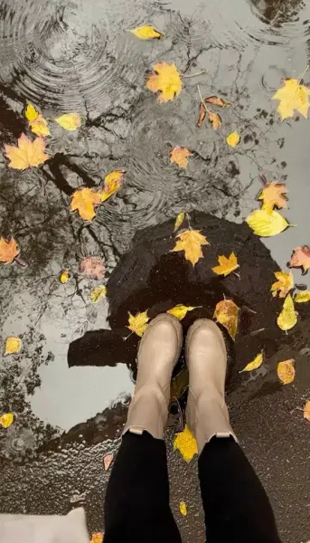  عکس باران پاییزی برای پروفایل