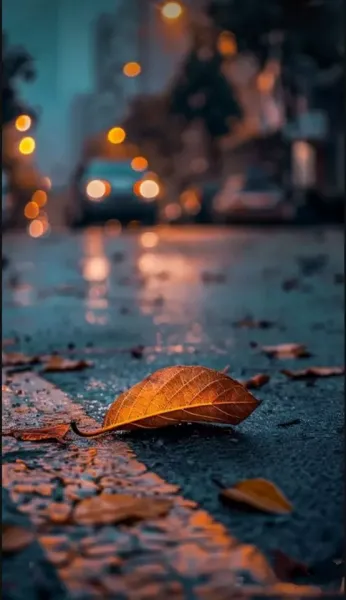  عکس باران پاییزی برای پروفایل