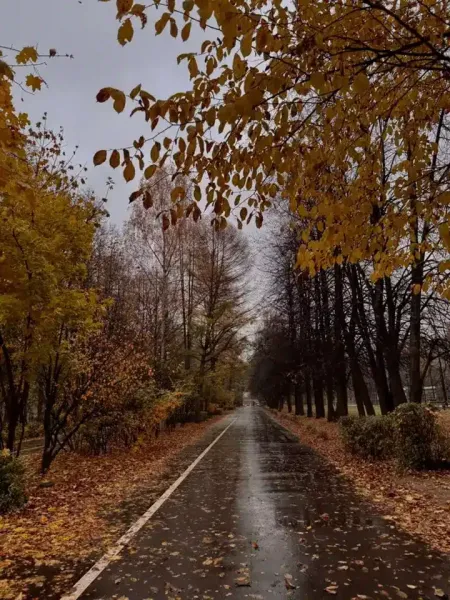  عکس باران پاییزی برای پروفایل