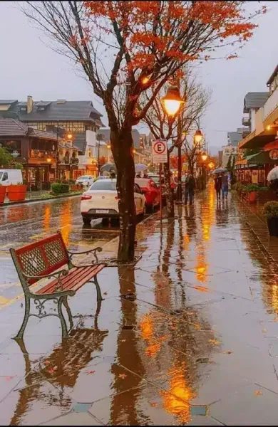  عکس باران پاییزی برای پروفایل