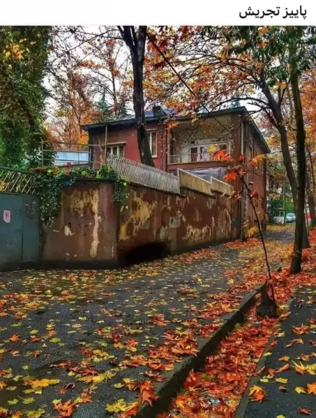  عکس باران تیک تاک