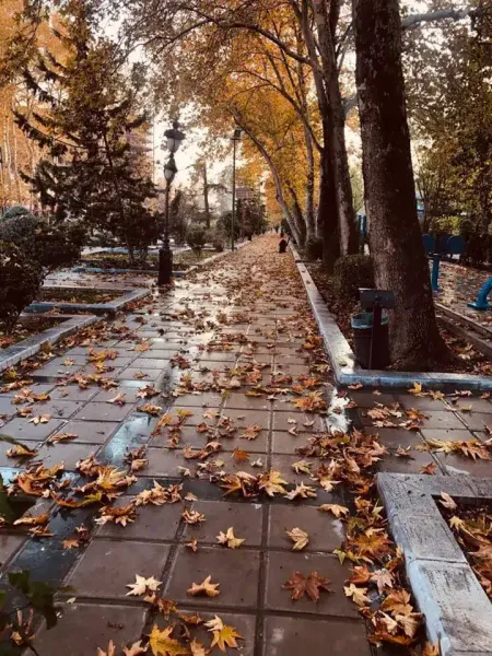  عکس باران تیک تاک