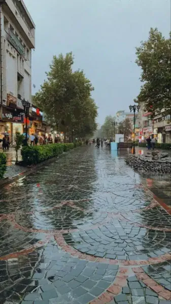  عکس باران تیک تاک