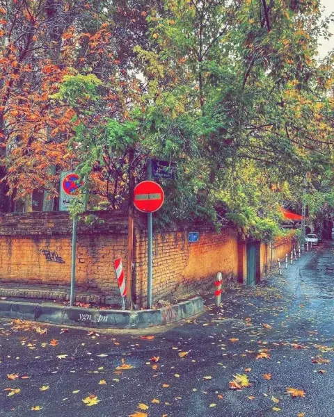  عکس باران تیک تاک