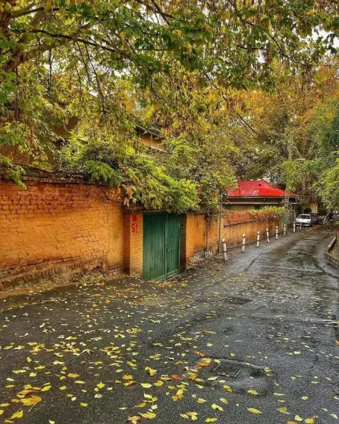  عکس باران تیک تاک