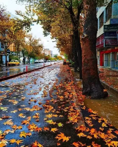  عکس باران تیک تاک