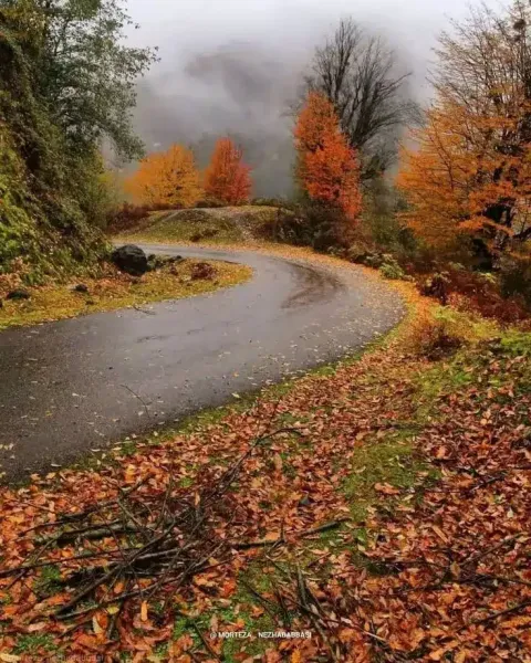  عکس باران تیک تاک