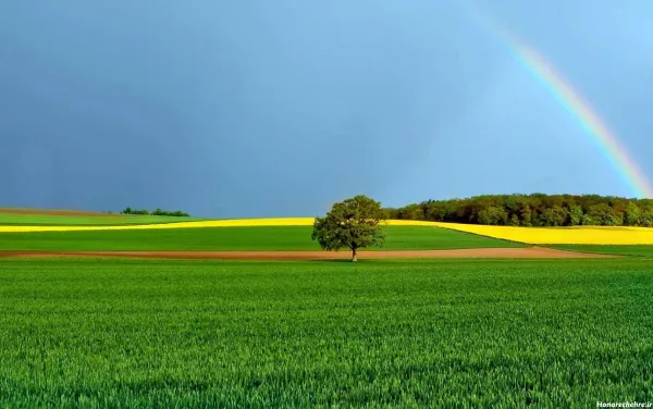  عکس طبیعت بکر