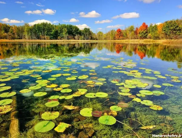  عکس طبیعت بکر