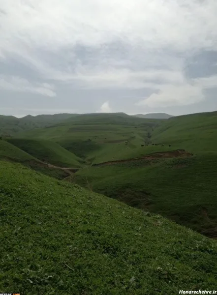  عکس طبیعت بکر