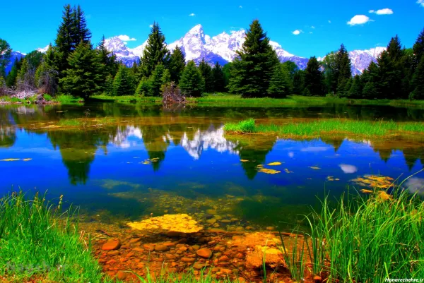  عکس طبیعت بکر