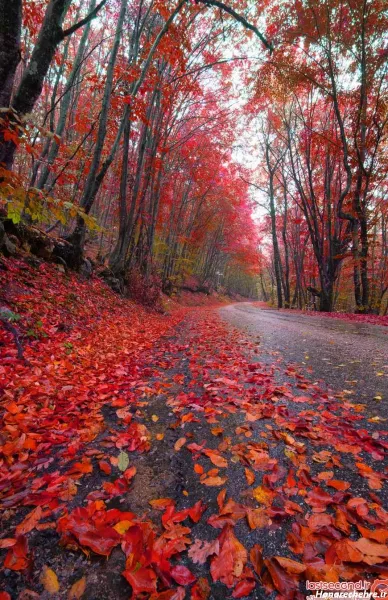  عکس طبیعت بکر