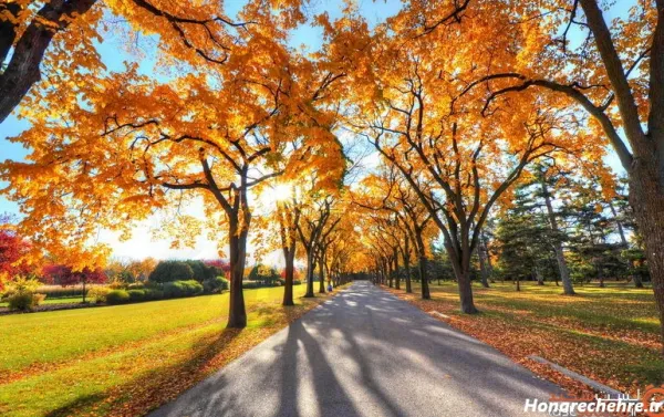  عکس طبیعت بکر