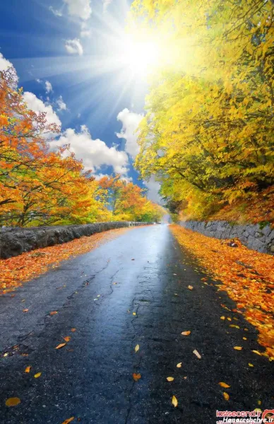  عکس طبیعت بکر