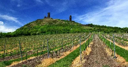  دانلود عکس طبیعت بکر