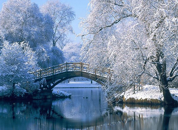  گالری عکس طبیعت