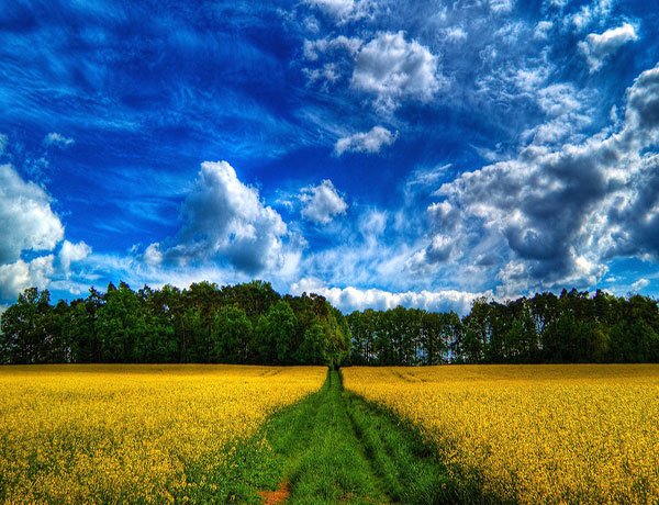  گالری عکس طبیعت