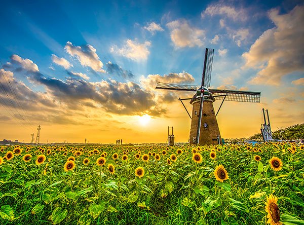  گالری عکس طبیعت