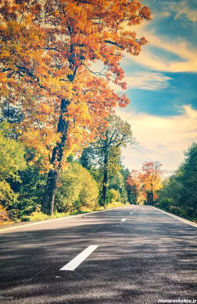  عکس طبیعت بکر و زیبا