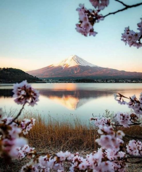  عکس پروفایل طبیعت بکر