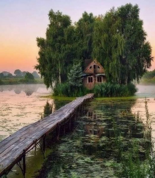  عکس پروفایل طبیعت بکر