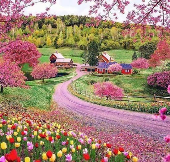  عکس پروفایل طبیعت بکر