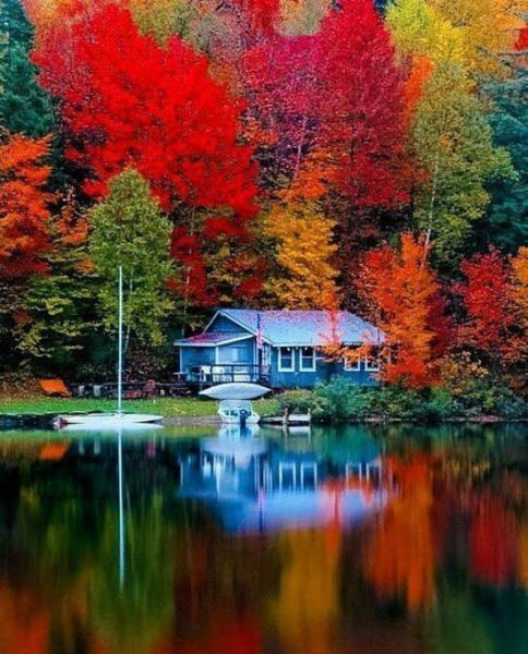  عکس پروفایل طبیعت بکر