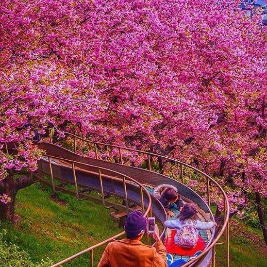  عکس پروفایل طبیعت بکر