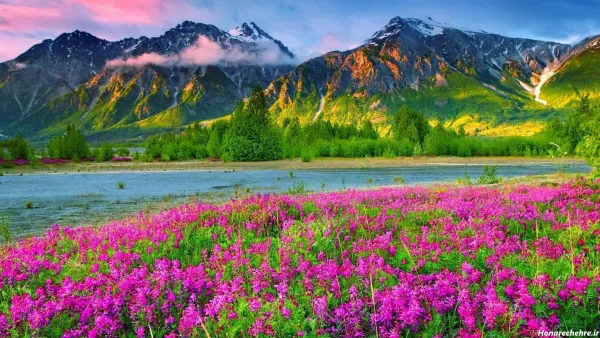  عکس زیبا از طبیعت بکر