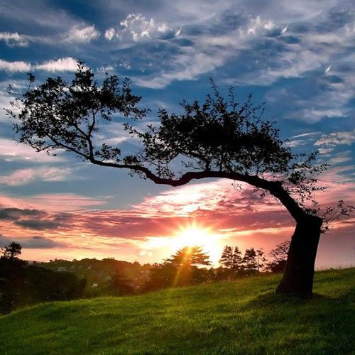  عکس طبیعت زیبا