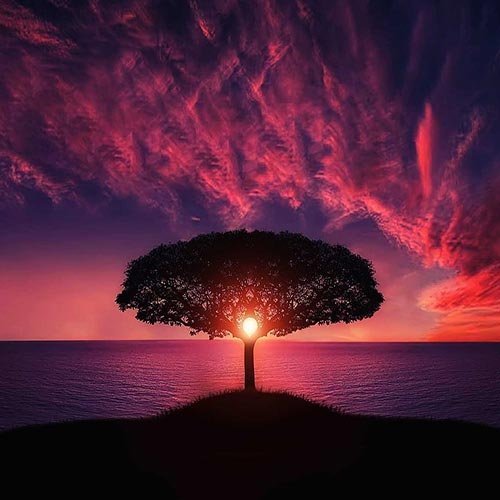  عکس طبیعت زیبا