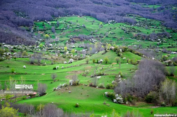  عکس طبیعت بهاری شمال