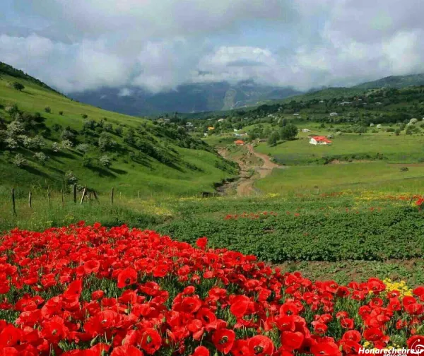  عکس طبیعت بهاری شمال