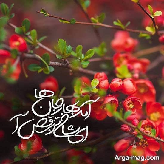  عکس بهاری عاشقانه