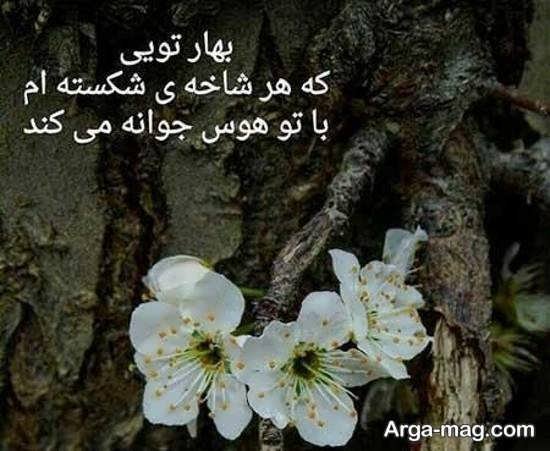  عکس بهاری عاشقانه