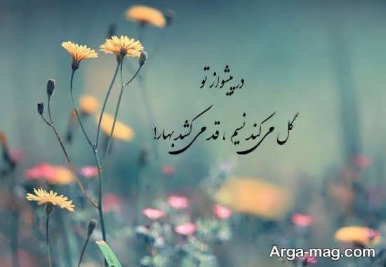  عکس بهاری عاشقانه